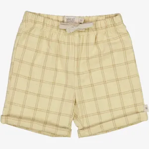 Shorts Milton | Baby - buttermilk check